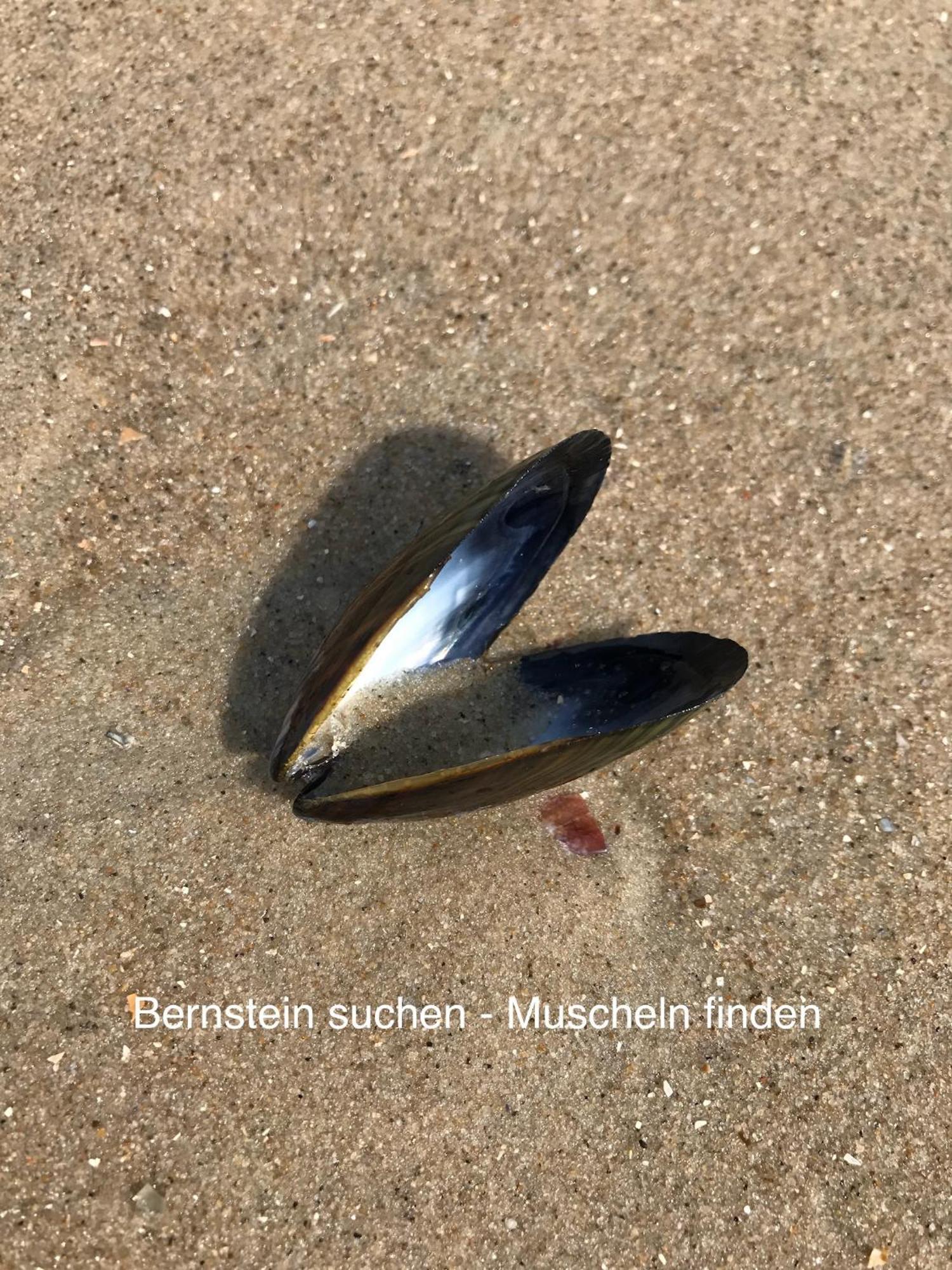 Eschen´s Allee Aurich (Ostfriesland)
